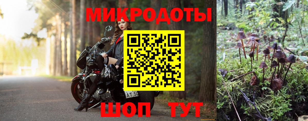 Псилоцибиновые грибы мицелий Дивногорск